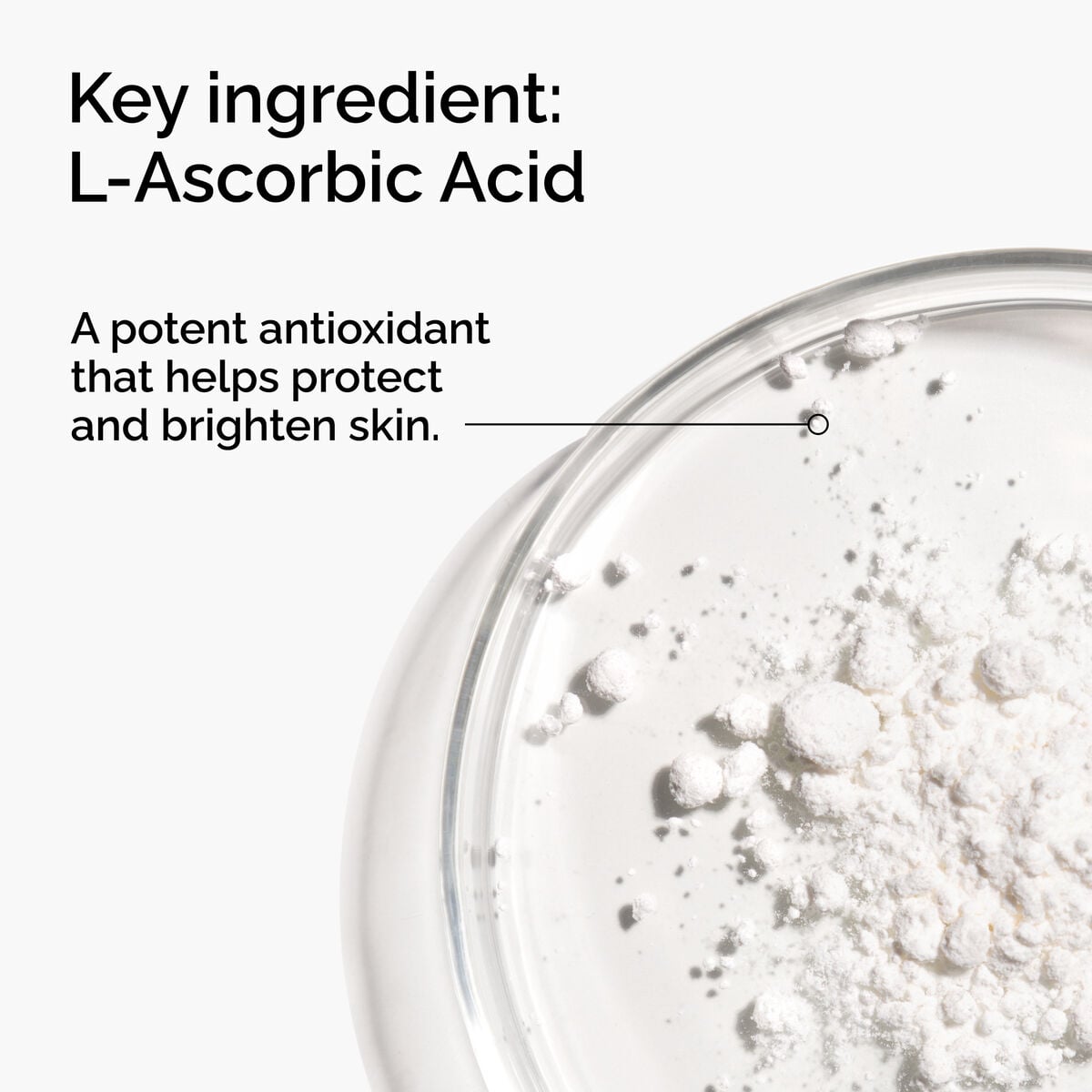 100-l-ascorbic-acid-powder-t8 FY25-D41247-ORD-Web-PDP-100-LAscb-Pwd-1x1-EN-2a.jpg